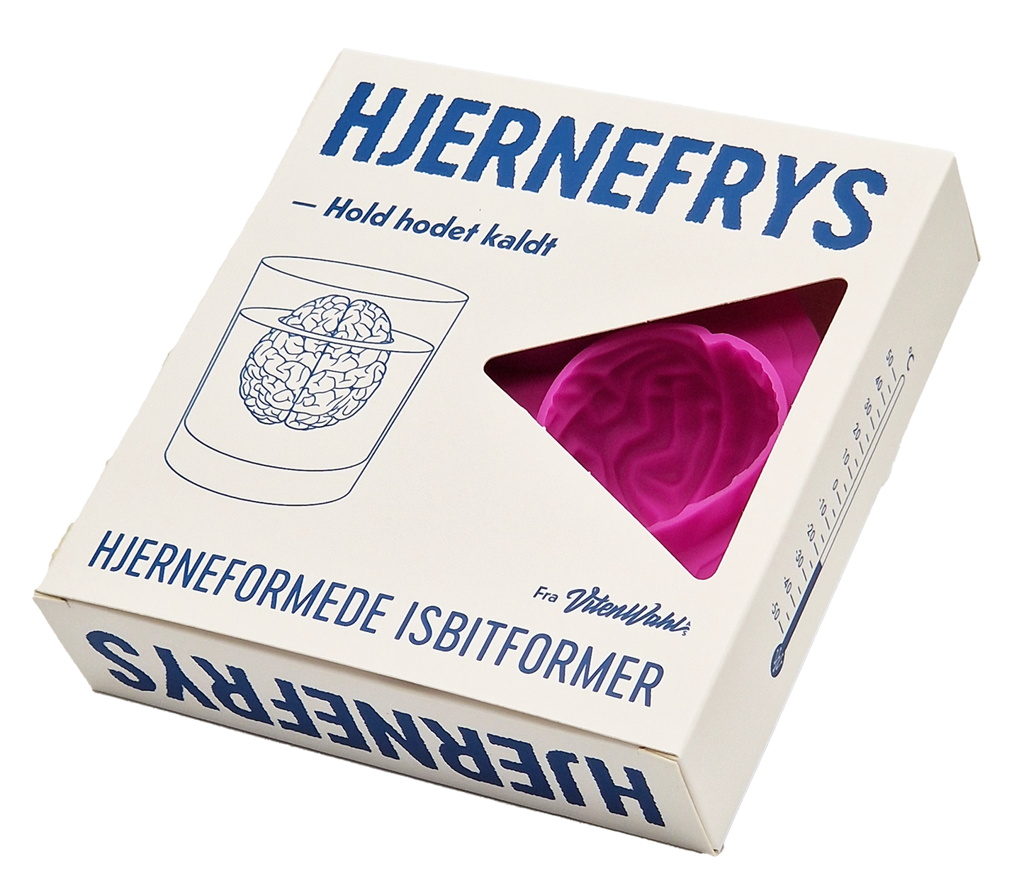 Hjernefrys